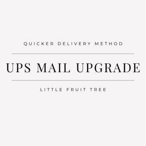 May include: A white graphic sign with black text that reads: QUICKER DELIVERY METHOD, UPS MAIL UPGRADE, and LITTLE FRUIT TREE. The text is arranged in three lines with horizontal lines separating the middle section from the top and bottom.