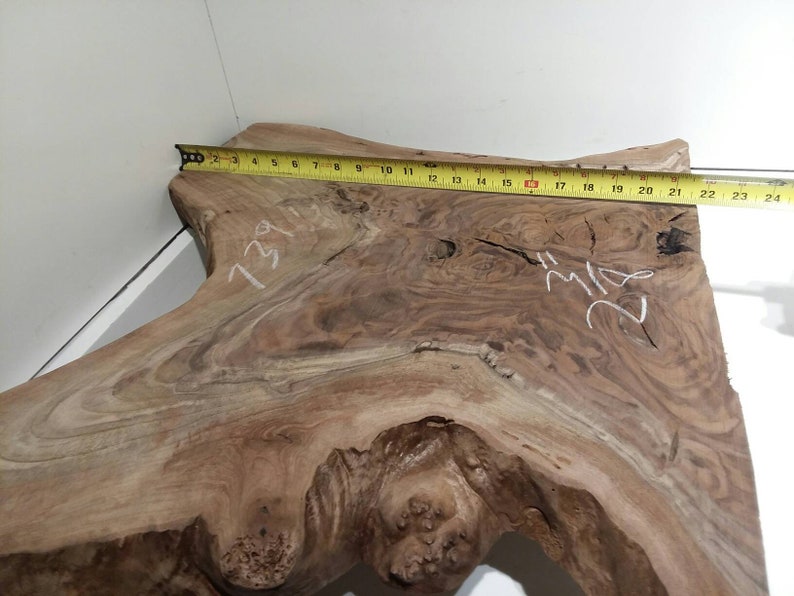 table live edge ROOT slab burl Pacific Black Walnut taxidermy wall art