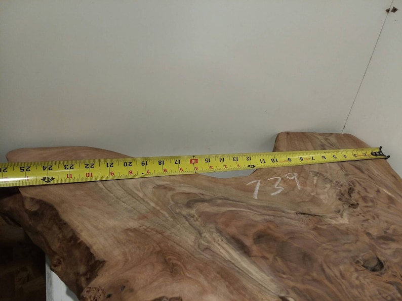 table live edge ROOT slab burl Pacific Black Walnut taxidermy wall art