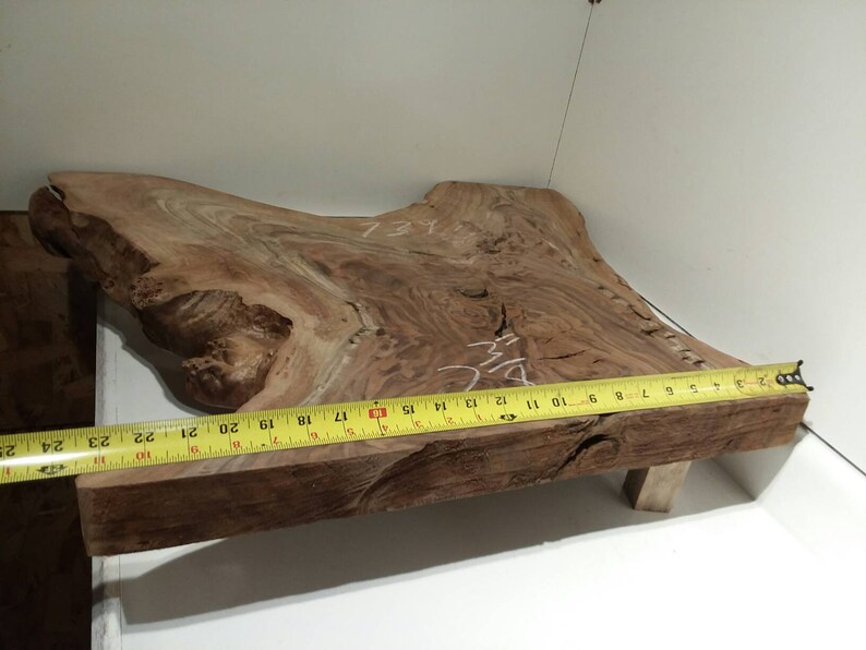 table live edge ROOT slab burl Pacific Black Walnut taxidermy wall art