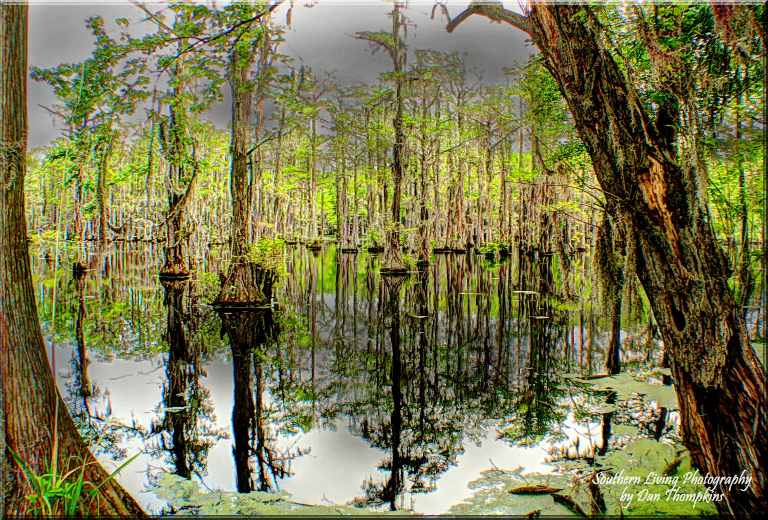 Millpond Lake View South Carolina Stormy Millpond Etsy