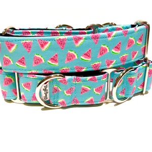 Mini Watermelon Slices Dog Collar - Cute Martingale Collar - Strong Clip Collar - Dog Leash