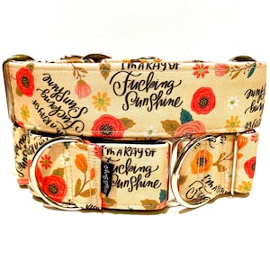 May include: A beige dog collar with a floral pattern and the text "I'm a ray of fucking sunshine" printed on it. The collar has two silver D-rings.