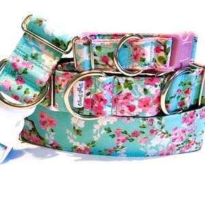 Apple Blossom Dog Collar - Martingale Dog Collar - Clip Collar - Dog Leash - Training Collar