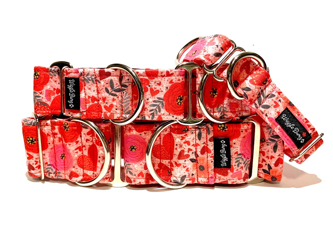 All You Need is Love Dog Collar Martingale Dog Collar Clip Collar Dog