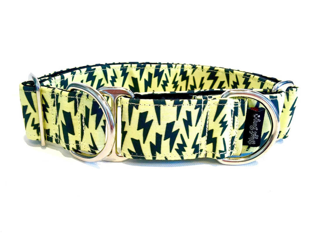 Yellow Lightning Dog Collar Martingale Dog Collar Clip Collar Dog Leash