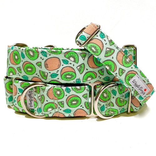 Kiwi Be Friends Dog Collar Martingale Dog Collar Clip Etsy
