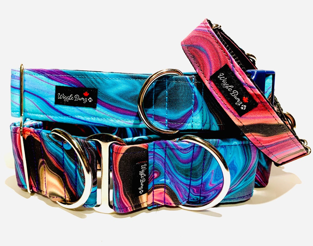 Psychedelic Summer Dog Collar Martingale Dog Collar Clip Collar Dog