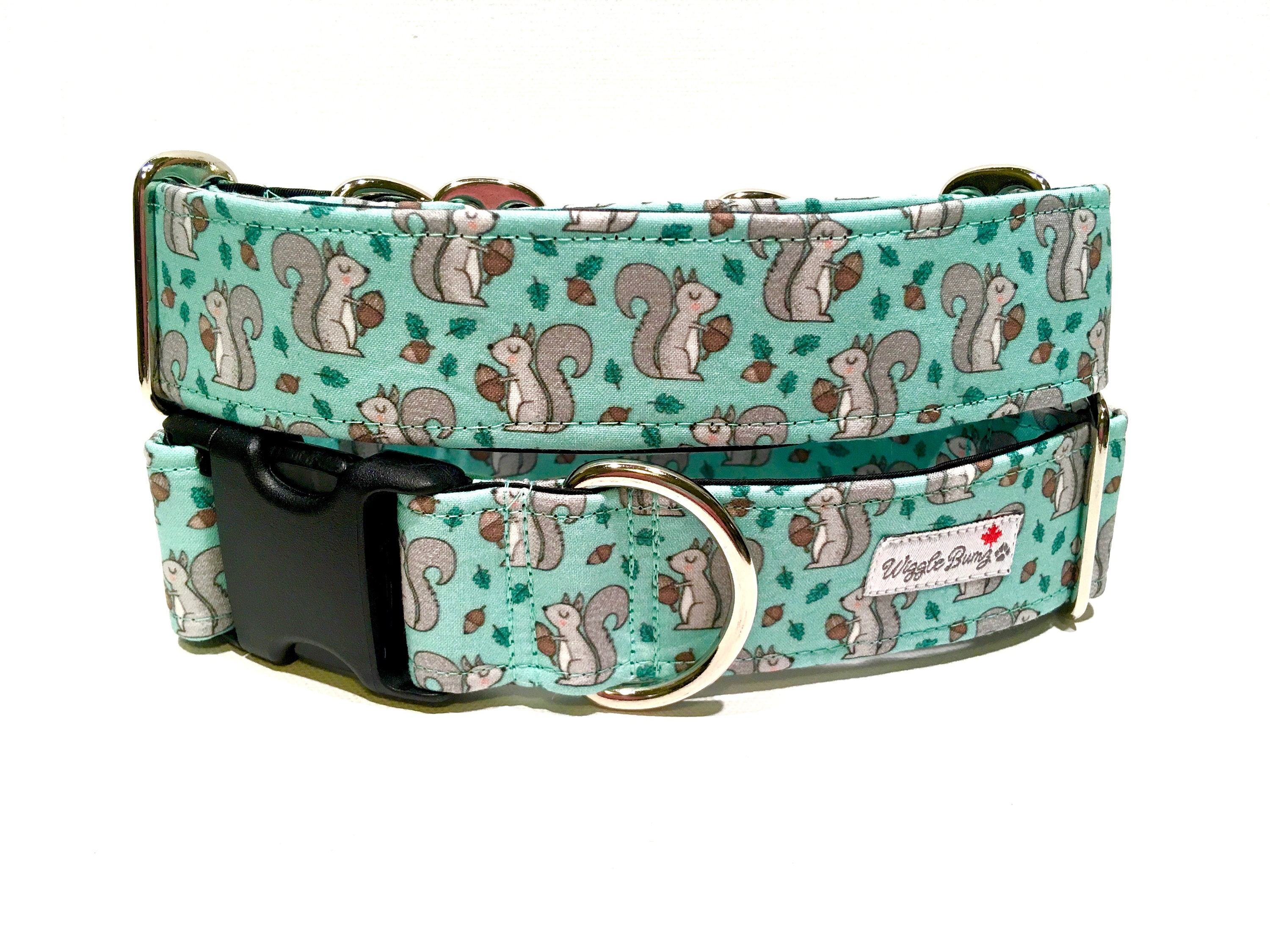 Squirrely Dog Collar - Martingale Dog Collar - Clip Collar - Dog Leash - Training Collar