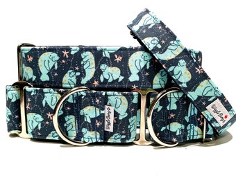May include: A blue and turquoise dog collar with a manatee pattern and gold stars. The collar has two silver D-rings and the text "Wiggle Wag" on the smaller collar.