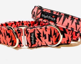 Pink Lightning Dog Collar - Martingale Dog Collar - Clip Collar - Dog Leash