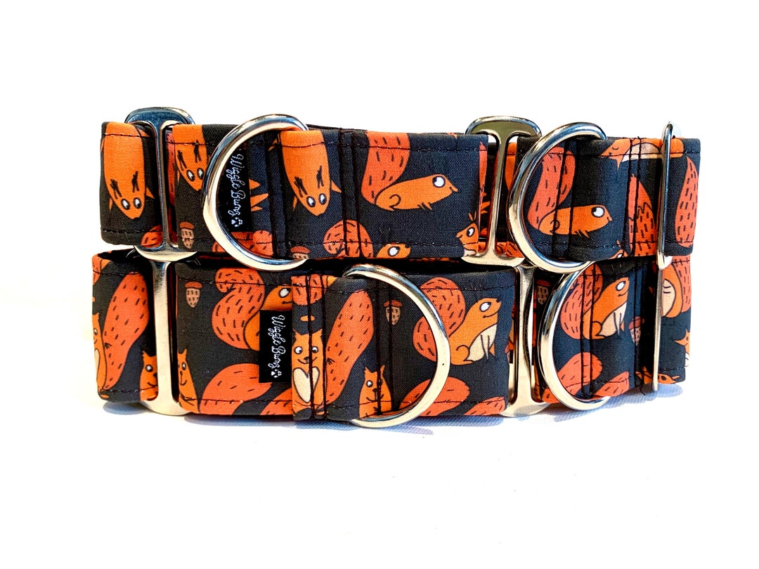 The Squirrel Family Dog Collar Martingale Dog Collar Clip Etsy
