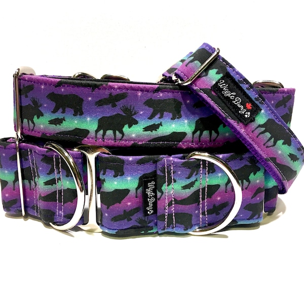 Northern Lights Dog Collar - Martingale Dog Collar - Clip Collar - Dog Leash - Training Collar