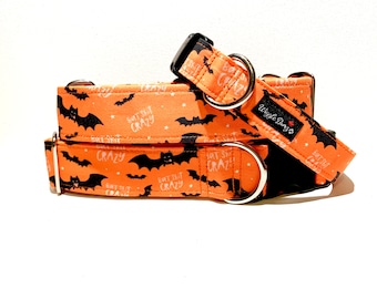 May include: Two orange and black dog collars with a bat and "Bat Shit Crazy" print. The collars are made by "Wiggle Buttz".