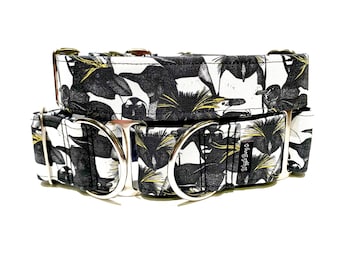 March of the Penguins Dog Collar - Martingale Dog Collar - Clip Collar - Dog Leash - Training Collar