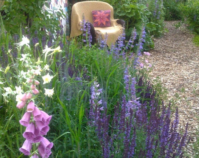 Fragrant Flowers Seed Mix, Heirloom Flower Seed Packets, Heirloom