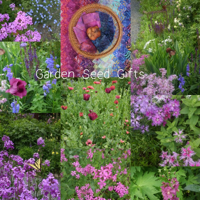 Heirloom Flower Seed Mix With Fabric Gift Bag Flower Seed Mix Etsy