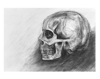 Disegno originale a carboncino di un teschio, arte macabra gotica, incorniciato
