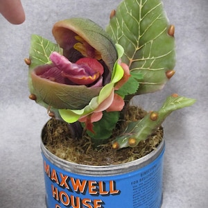 May include: A whimsical, handcrafted sculpture of a carnivorous plant, possibly inspired by the Audrey II from Little Shop of Horrors. The plant features large green leaves, a vibrant red and pink interior, and is potted in a repurposed Maxwell House Coffee can.