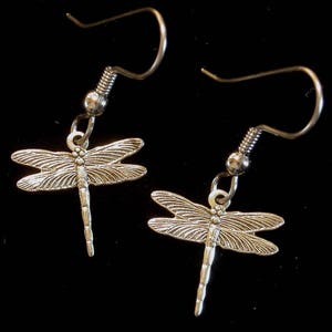 May include: A pair of silver dragonfly earrings with a simple hook closure.