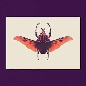 Risografía de escarabajo - Riso, impresión, ilustración científica, cartel decorativo, cartel decorativo, cartel A3, ilustración de insectos