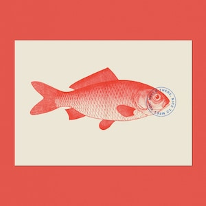 Risografia Goldfish - Riso, estampado, 2 cores, tipografia, estampa minimalista, cartaz decorativo, cartaz decorativo, impressão A3