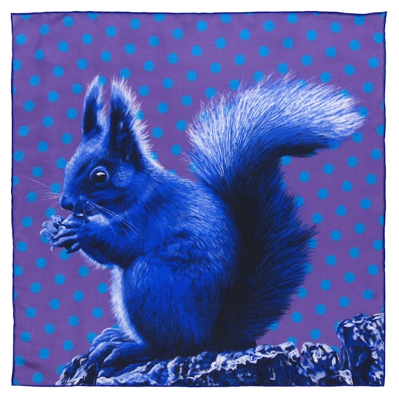 Silk Pocket Square - Squirrel Blue/Purple