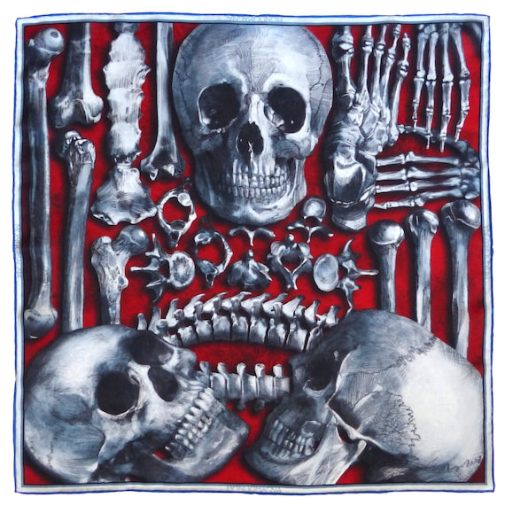 Silk Pocket Square - Bones Blue Vermillion