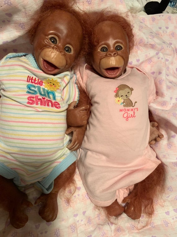 reborn orangutan