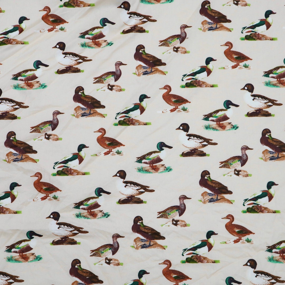 Northern Shoveler Fabric Teal Duck Printed on Beige Cotton Fabric, Duck