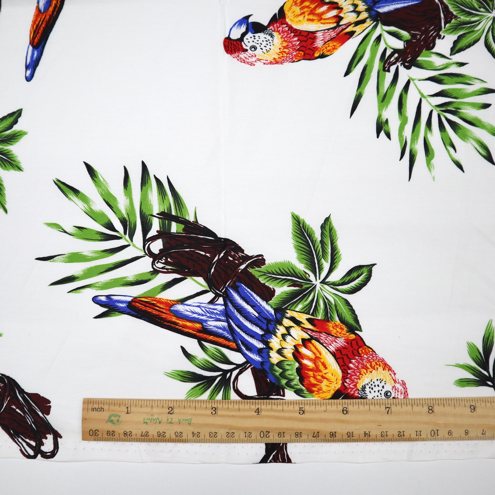 Colorful Parrot Cotton Fabric Huge Parrot Printed on White | Etsy