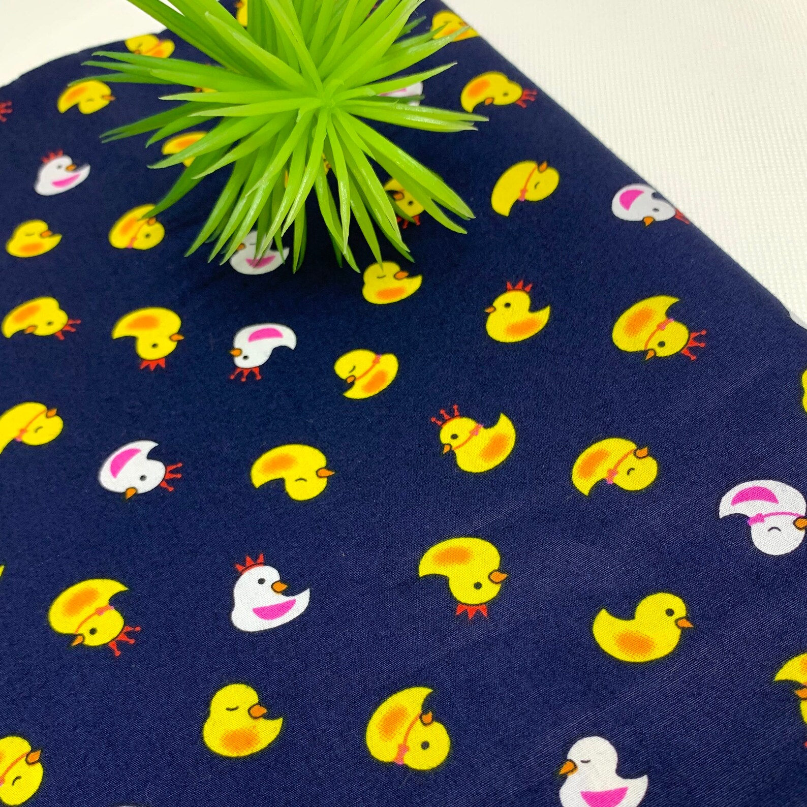Cotton Duck Pictures at Betty Dolan blog