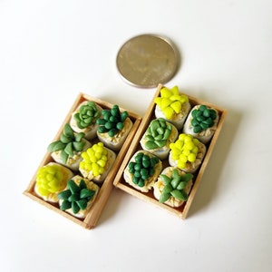 Succulent Wood Box, Miniature Polymer Clay Plants Tiny Kawaii Cute, Room Desk Decor Gift Flowers Nature Fake Cottage Core Pastel Green Olive
