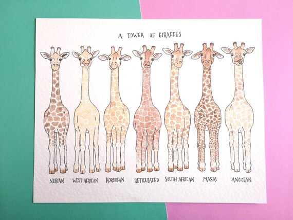 giraffes Two giraffes on an a6 notepad giraffe notepad love giraffes