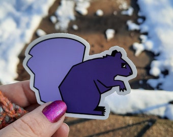 Purple Squirrel Vinyl Sticker, Waterproof Decal, Laptop, Water Bottle, Car Decal, HR Office Co-worker Manager Gift Under 10