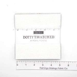 Moda "Dotty Thatched" by Robin Pickens | 48715PP CHARM PACK | 5 Inch Squares