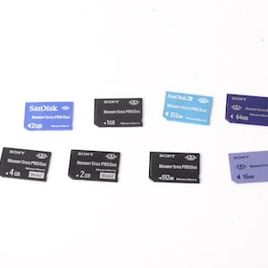 以下が含まれることがあります： SanDiskやSonyなどのブランドを含む、さまざまなメモリカード。 カードは青、黒、紫などのさまざまな色で、42GB、1GB、512MB、64MB、4GB、2GB、16MBなどのストレージ容量を表示しています。
