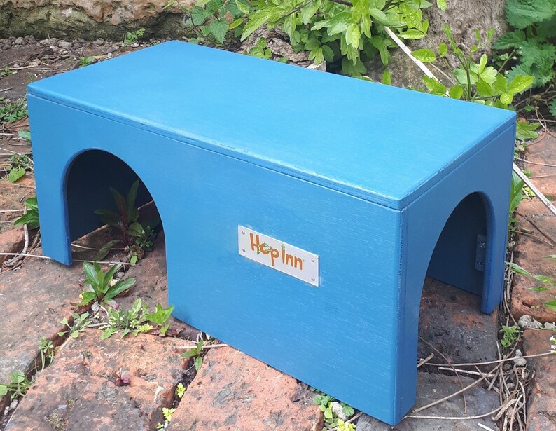 Guinea Pig House Hideout | Wooden, Double Entrance, Wipe Clean, Pet Friendly Paints and Stains, Mould Resistant (Readymade) Blauw