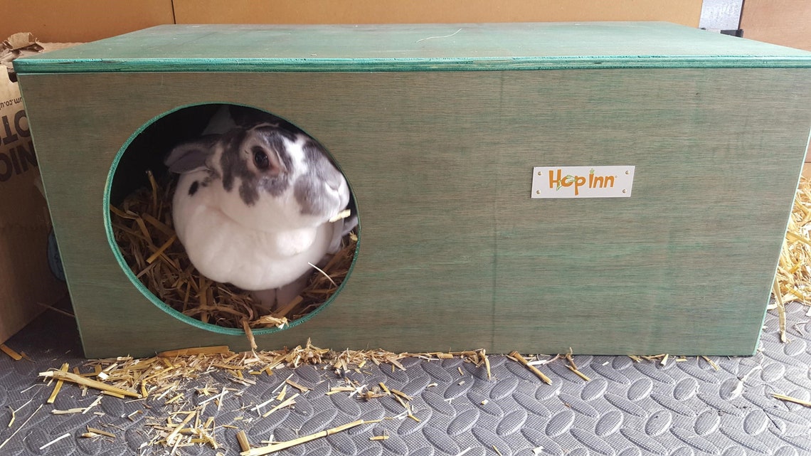 Rabbit Hideout Hideaway for Rabbits and Cats QUALITY FUN Etsy