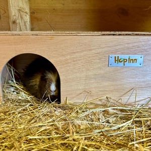 Guinea Pig House Hideout | Wooden, Double Entrance, Wipe Clean, Pet Friendly Paints and Stains, Mould Resistant (Readymade) afbeelding 16