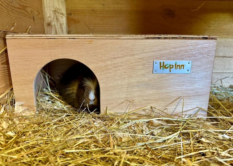 Guinea Pig House Hideout | Wooden, Double Entrance, Wipe Clean, Pet Friendly Paints and Stains, Mould Resistant (Readymade) afbeelding 16