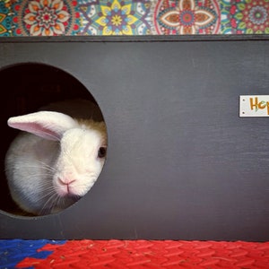 Hop Inn Large Rabbit Hideaway House Hide Shelter Assembled for Cats too Designed to Last All Weather Pet Friendly Paints and Stains Slate Grey