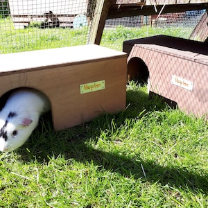 Op de afbeelding: Twee houten dierenhuisjes met boogvormige ingangen op gras. E&eacute;n is lichtbruin, de andere is donkerbruin. Een wit en zwart cavia zit in het lichtbruine huis. De tekst "Hop Inn" staat op beide huizen.