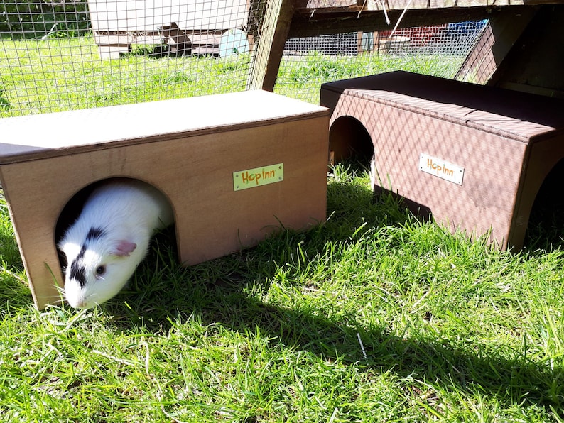 Op de afbeelding: Twee houten dierenhuisjes met boogvormige ingangen op gras. E&eacute;n is lichtbruin, de andere is donkerbruin. Een wit en zwart cavia zit in het lichtbruine huis. De tekst "Hop Inn" staat op beide huizen.