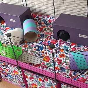 Guinea Pig House Hideout | Wooden, Double Entrance, Wipe Clean, Pet Friendly Paints and Stains, Mould Resistant (Readymade) afbeelding 14