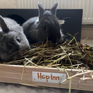 May include: Two gray rabbits are in a wooden hay feeder. The feeder has a white label with the text "Hop Inn" in orange and green. The rabbits are surrounded by hay and dried herbs.