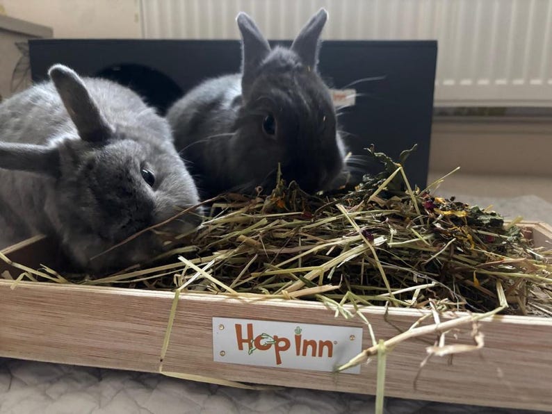 May include: Two gray rabbits are in a wooden hay feeder. The feeder has a white label with the text "Hop Inn" in orange and green. The rabbits are surrounded by hay and dried herbs.