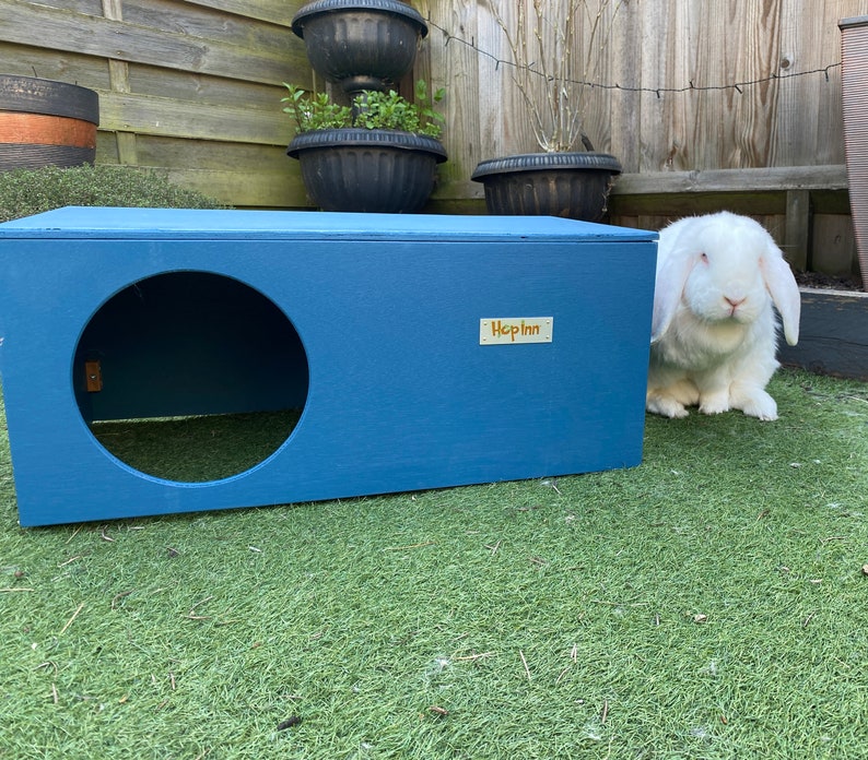 Hop Inn Large Rabbit Hideaway House Hide Shelter Assembled for Cats too Designed to Last All Weather Pet Friendly Paints and Stains Marina Blue