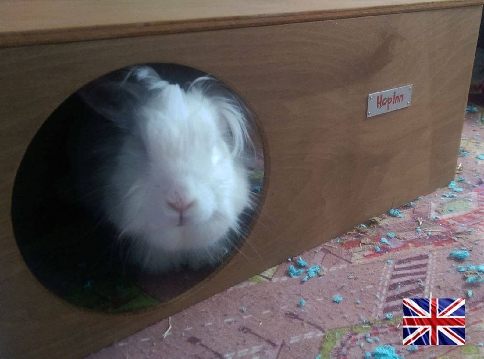 Rabbit Hideout Hideaway for Rabbits and Cats QUALITY FUN Etsy