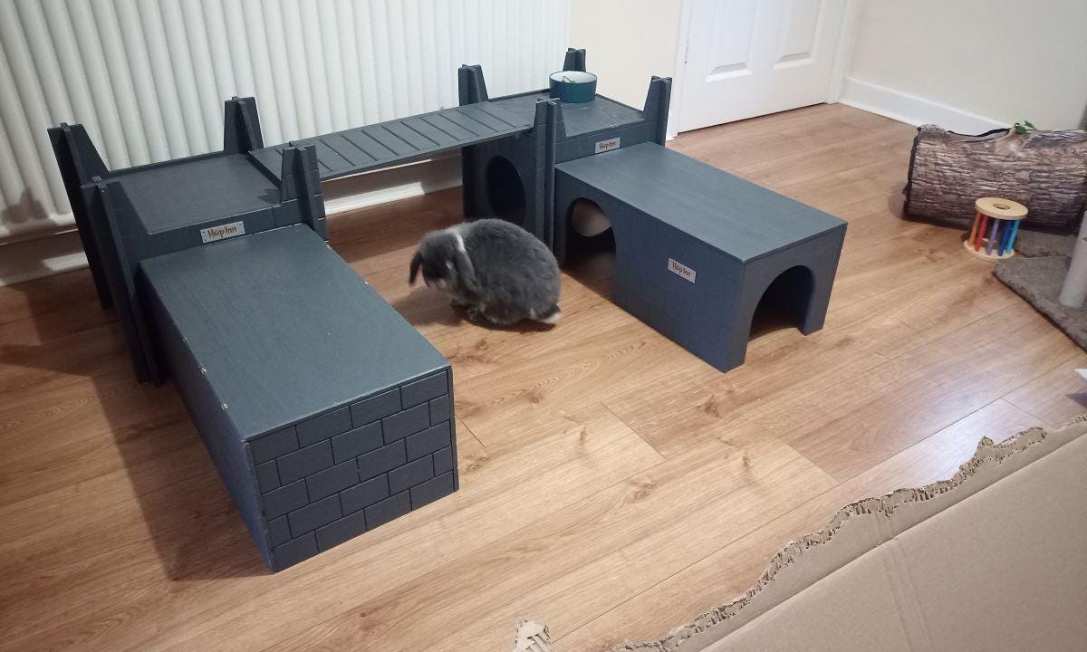Rabbids Ramp Hop Inn Ramp for the Rabbit Castle - Various Colour Options -PLEASE Pop ...